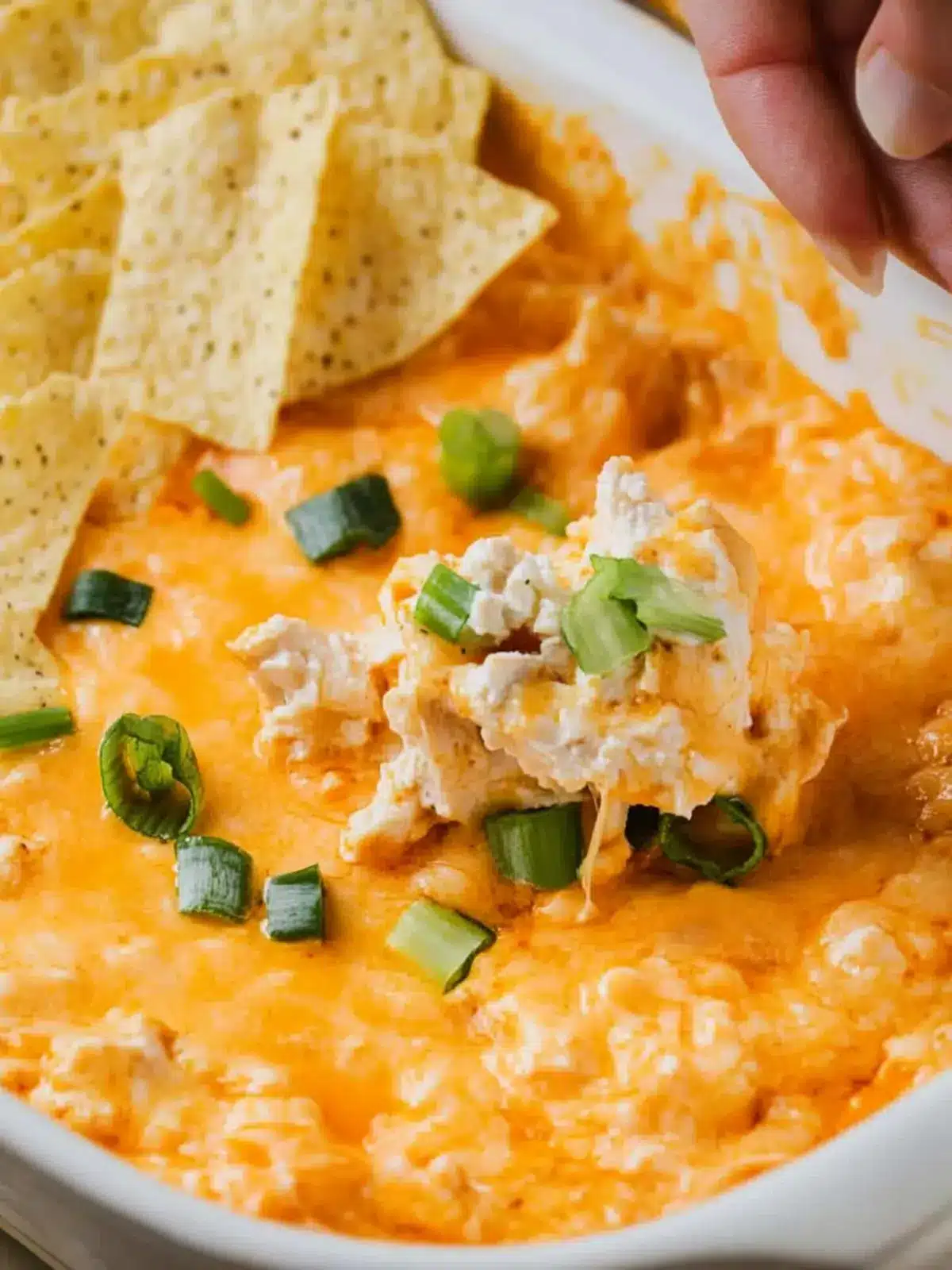 Creamy Cottage Cheese Buffalo Chicken Dip That Will Wow You 2 Cottage Cheese Buffalo Chicken Dip